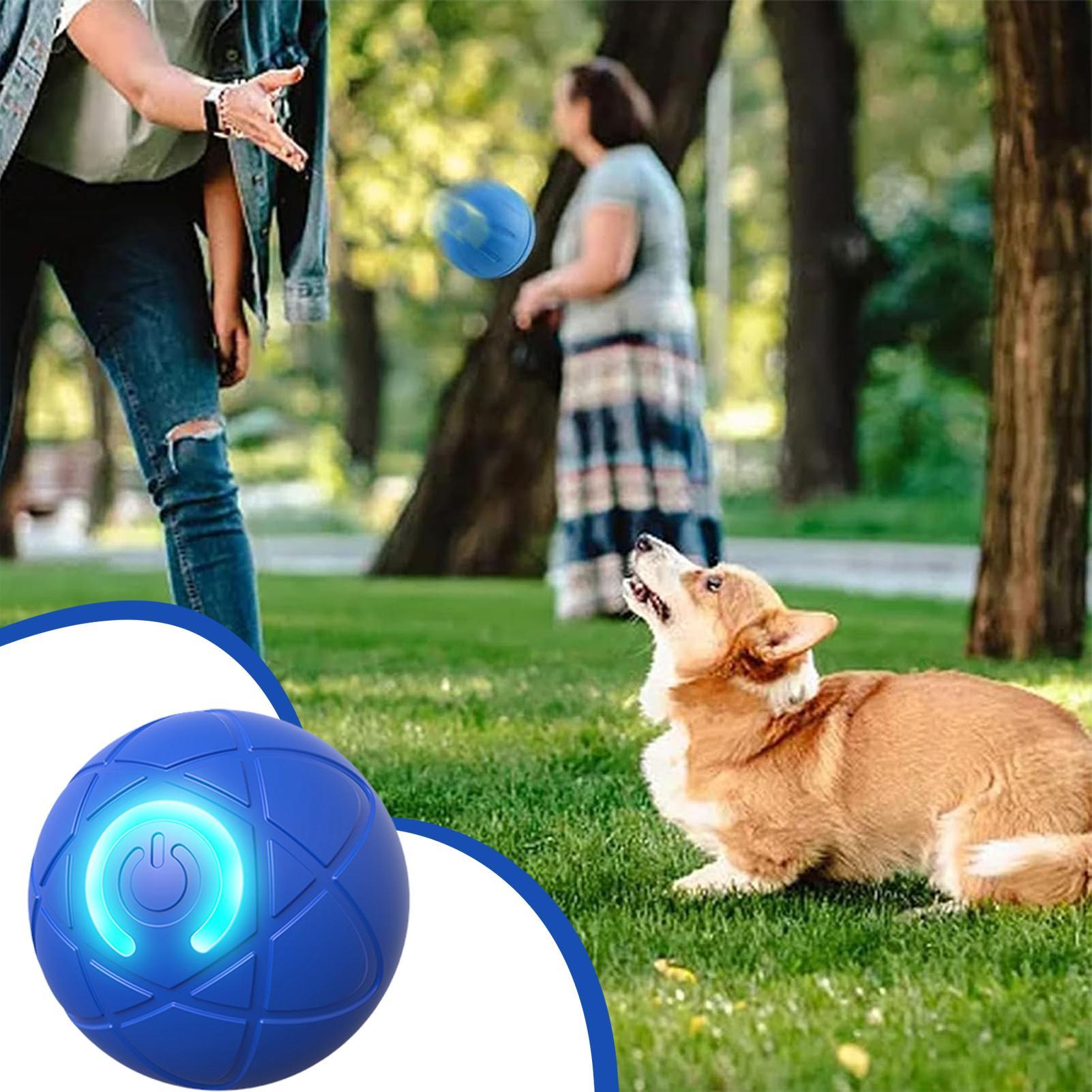 Smart Interactive Dog Toys for - đánh giá và giá Automatic Moving Dog Ball