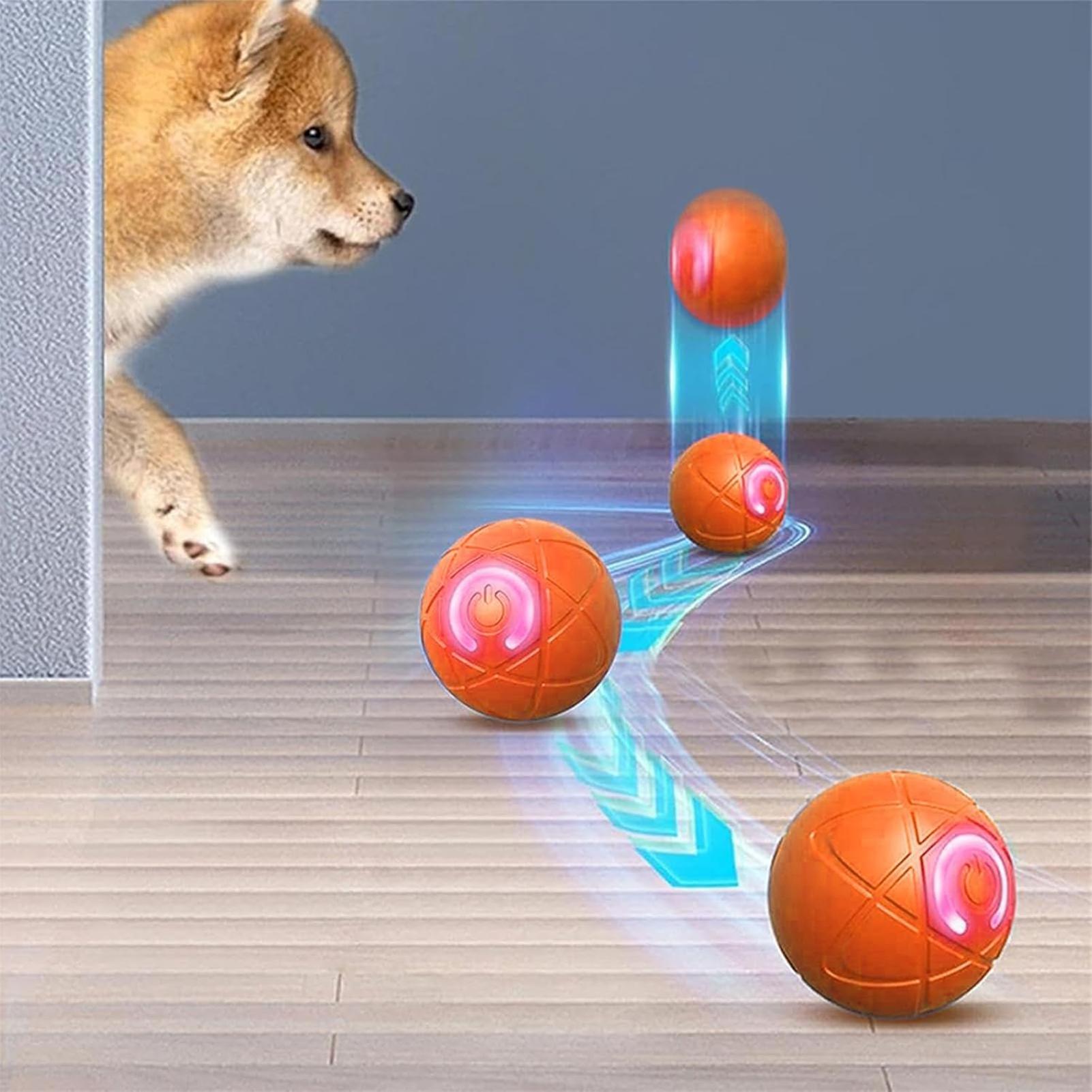Smart Interactive Dog Toys for - đánh giá và giá Automatic Moving Dog Ball