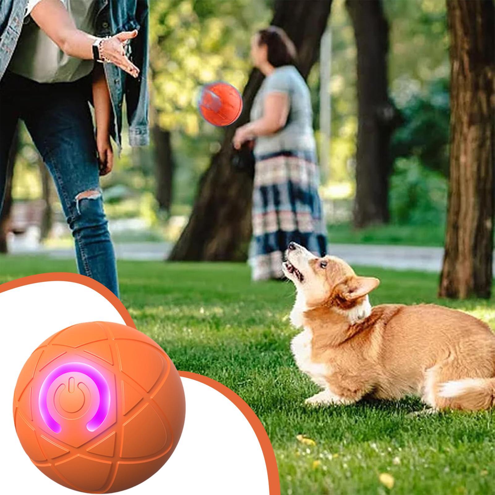 Smart Interactive Dog Toys for - đánh giá và giá Automatic Moving Dog Ball