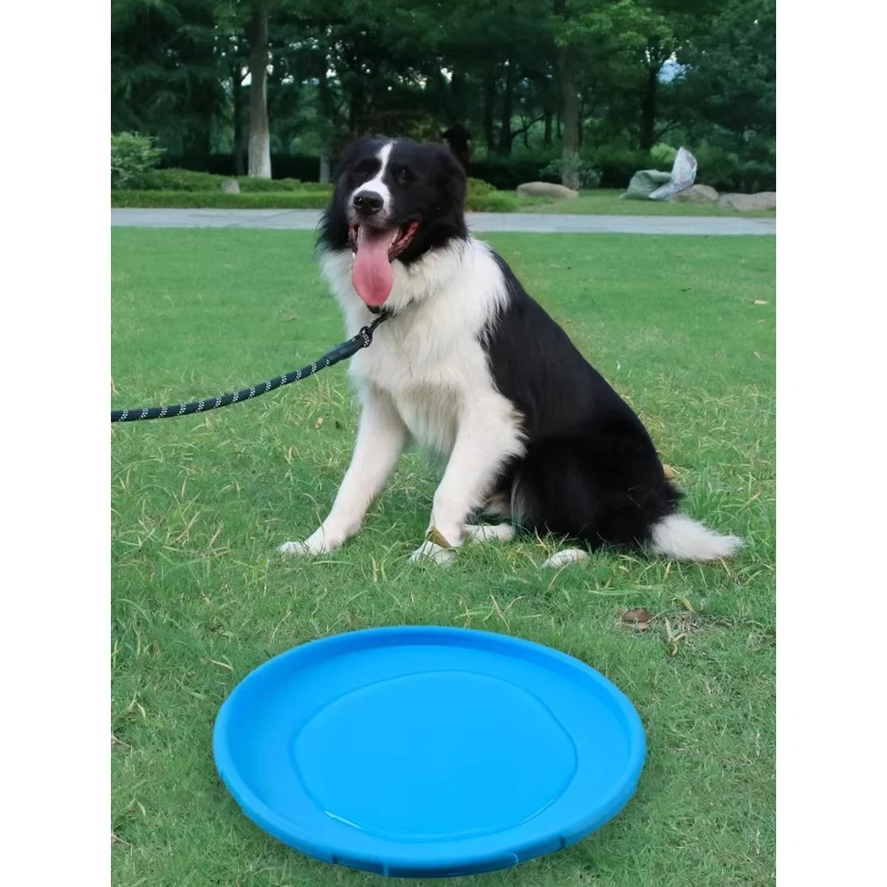 Dog Flying Disc TPR Pet Toy In - đánh giá và giá Flying Disc Dog Training Toy