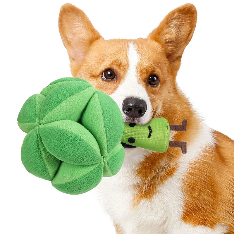 Snuffle Broccoli Dog Puzzle To - đánh giá và giá Dog Puzzle Feeder Toy