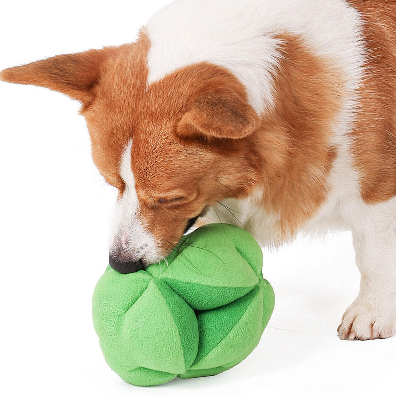 Snuffle Broccoli Dog Puzzle To - đánh giá và giá Dog Puzzle Feeder Toy