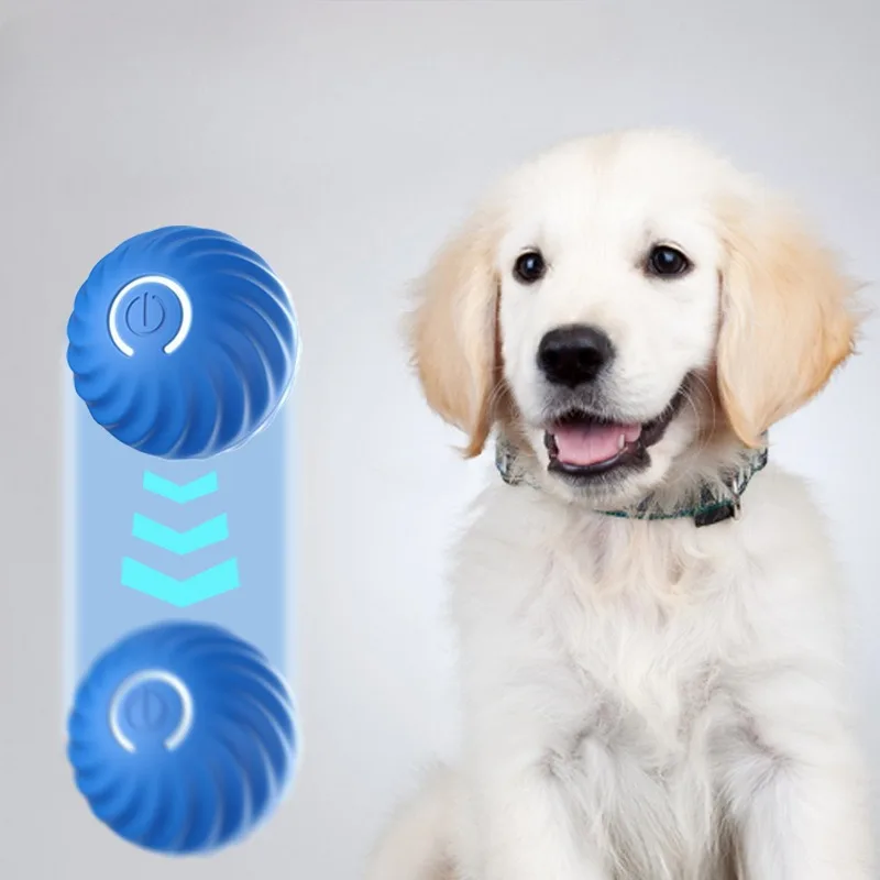 SS Pet Toy Ball Automatic Movi - đánh giá và giá Automatic Moving Dog Ball
