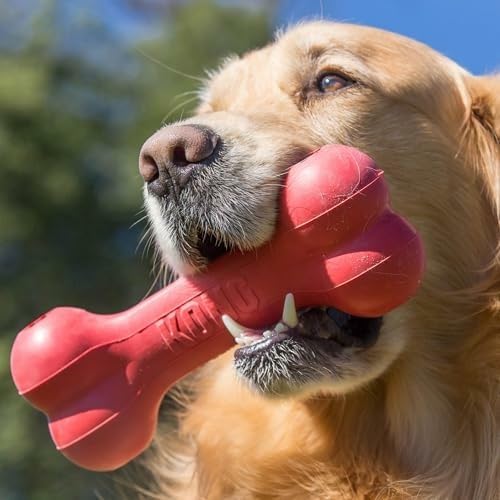 Classic Durable Natural Rubber - đánh giá và giá Rubber Treat Dispensing Dog Toy