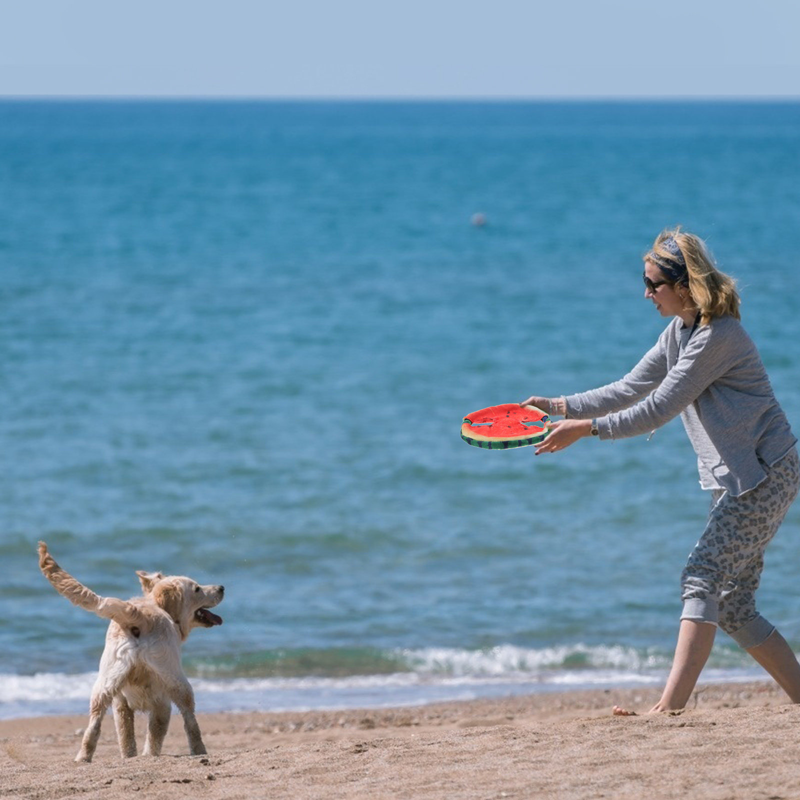 1Pcs Pet Simulated Watermelon  - đánh giá và giá Flying Disc Dog Training Toy