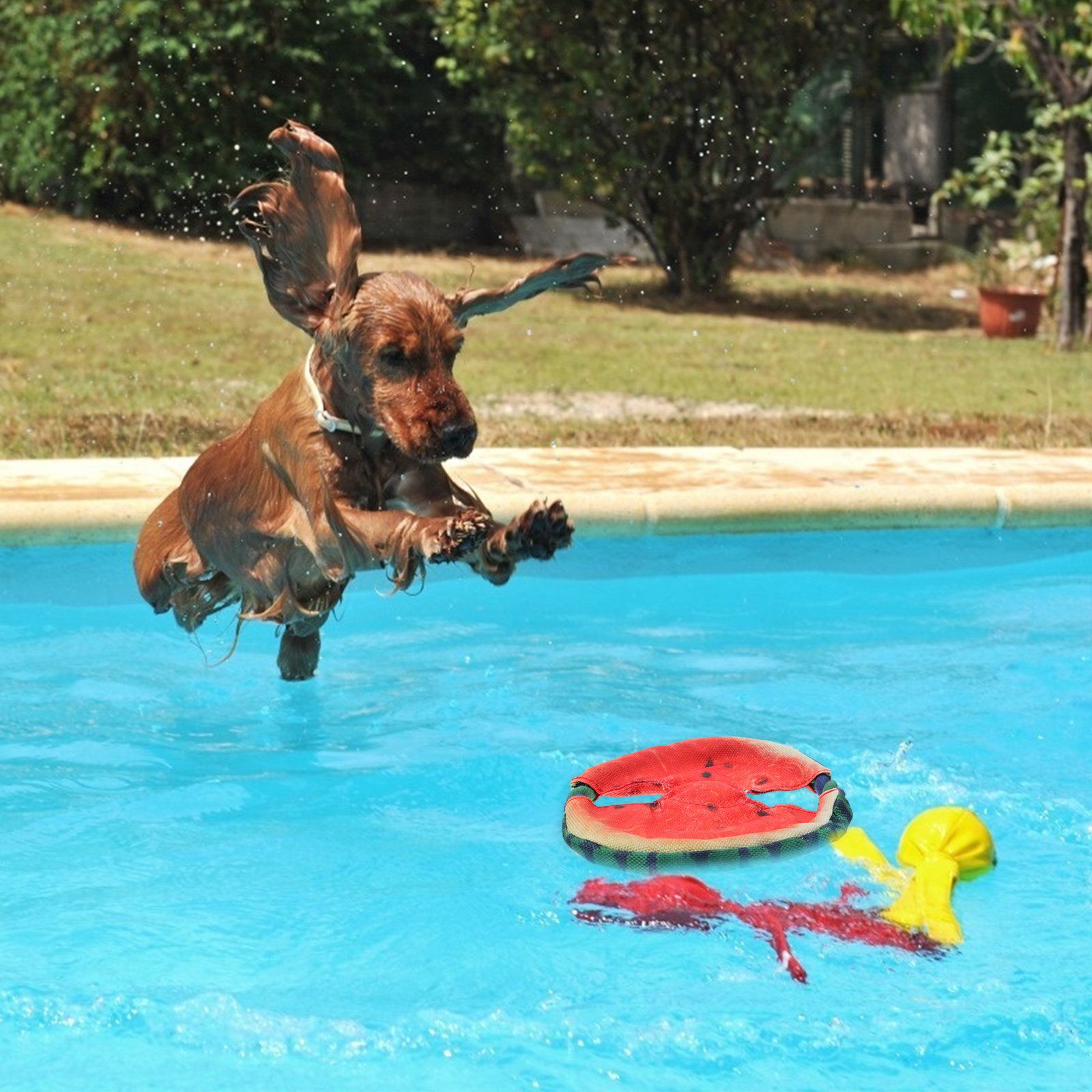 1Pcs Pet Simulated Watermelon  - đánh giá và giá Flying Disc Dog Training Toy