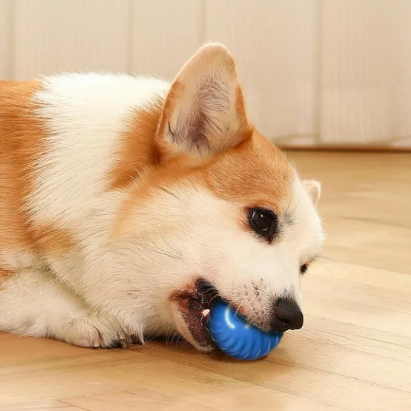 @1G-Pet Toy Ball Automatic Mov - đánh giá và giá Automatic Moving Dog Ball