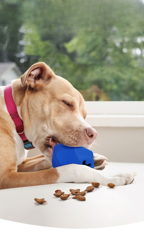 Durable Rubber Dog Treat Dispe - đánh giá và giá Rubber Treat Dispensing Dog Toy