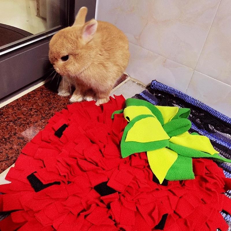Thảm hít kích thước lớn dành c - đánh giá và giá Snuffle Mat For Dogs