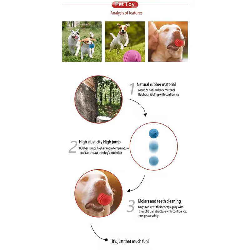 Solid Rubber Dog Bouncy Ball I - đánh giá và giá Indestructible Dog Chew Toy