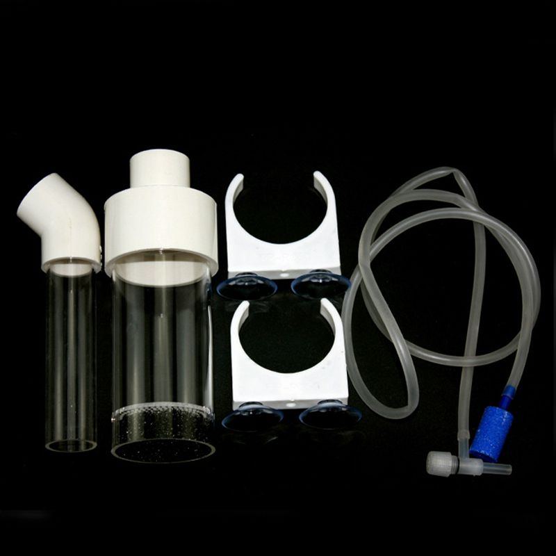 Aquarium Cichlids Tumbler Fish - đánh giá và giá Aquarium