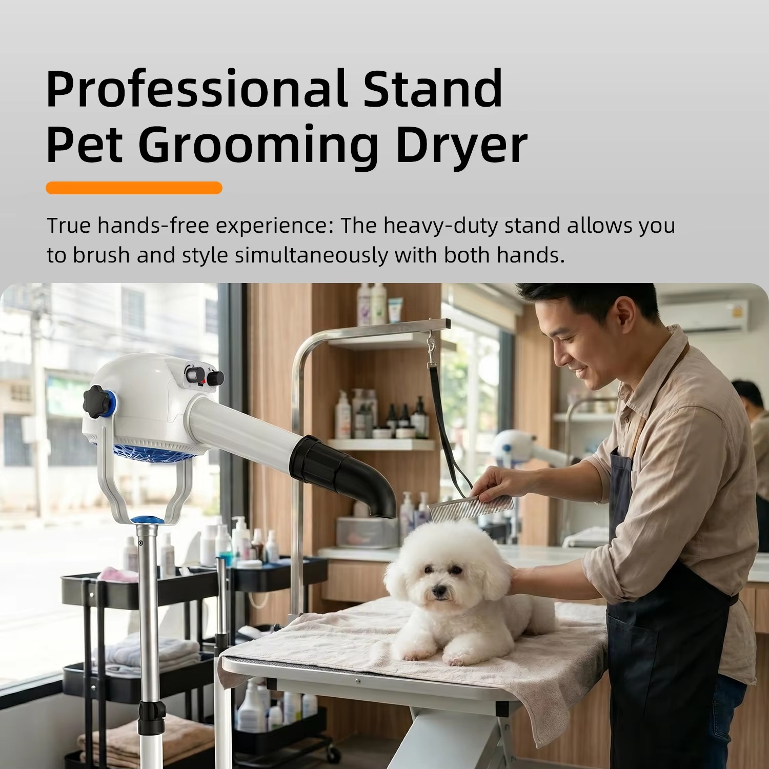Shernbao PSD-920P Anionic Pet  - đánh giá và giá Pet Grooming